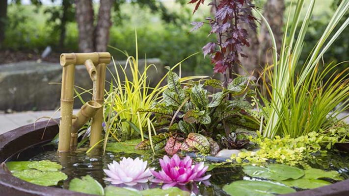 مدل های آبنما